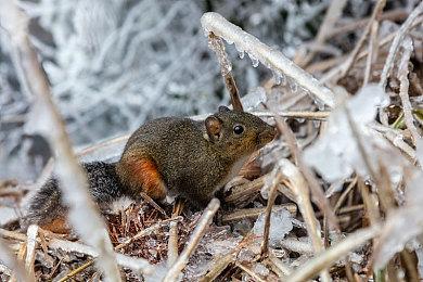 摩托竞速游戏新作《MotoGP 24》公布 5月2日发售